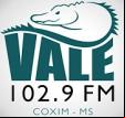 Vale 102 FM